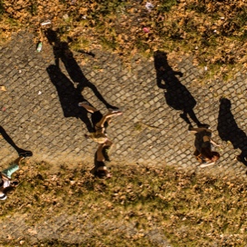 students walking on path